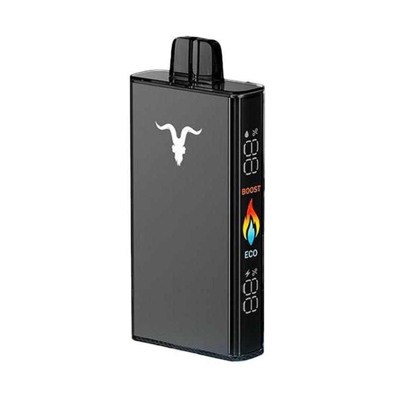 IGNITE V250 - 25.000 PUFFS